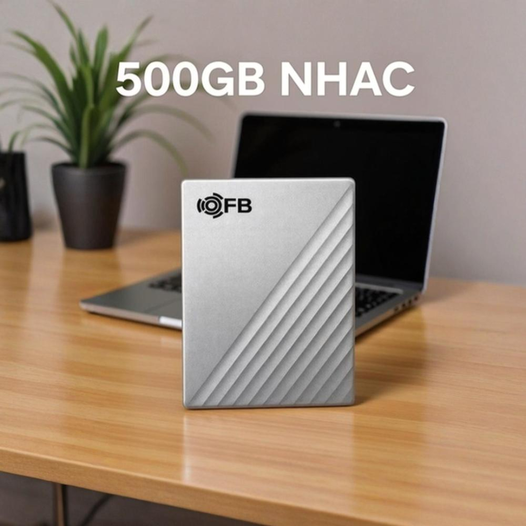 ổ cứng di động 500GB - chép nhạc theo yêu cầu